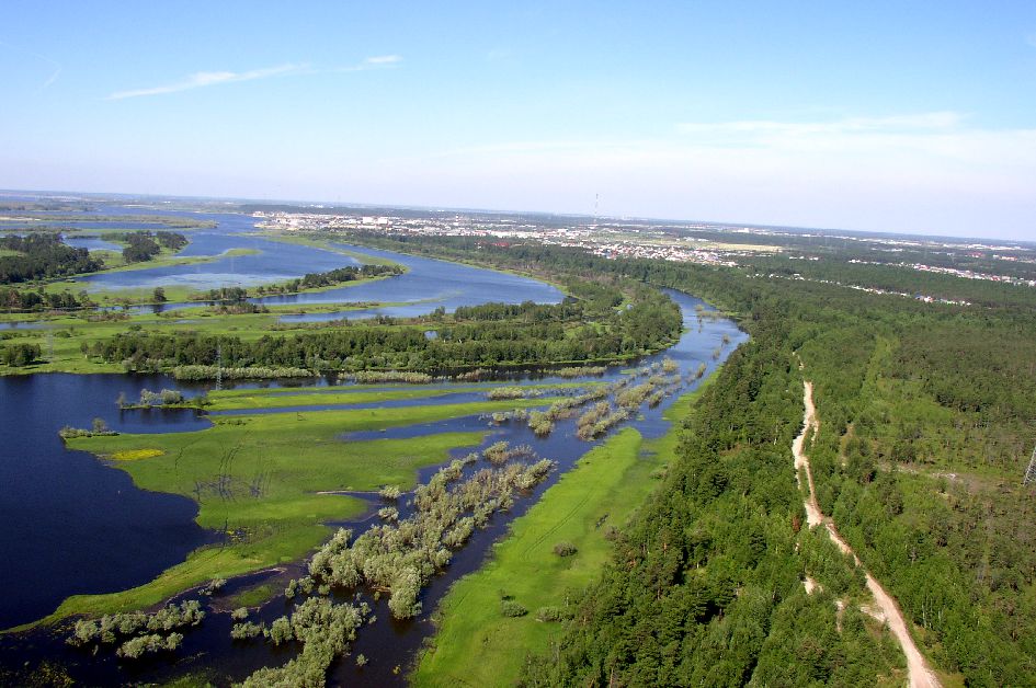 Югра это. Река Обь ХМАО растения. Две реки Югры. Формы земной поверхности ХМАО Югры. Поверхность Ханты Мансийского края.